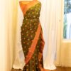 Citrus Grove Orange and Green Printed Kanchipuram Silk Saree