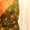 Citrus Grove Orange and Green Printed Kanchipuram Silk Saree