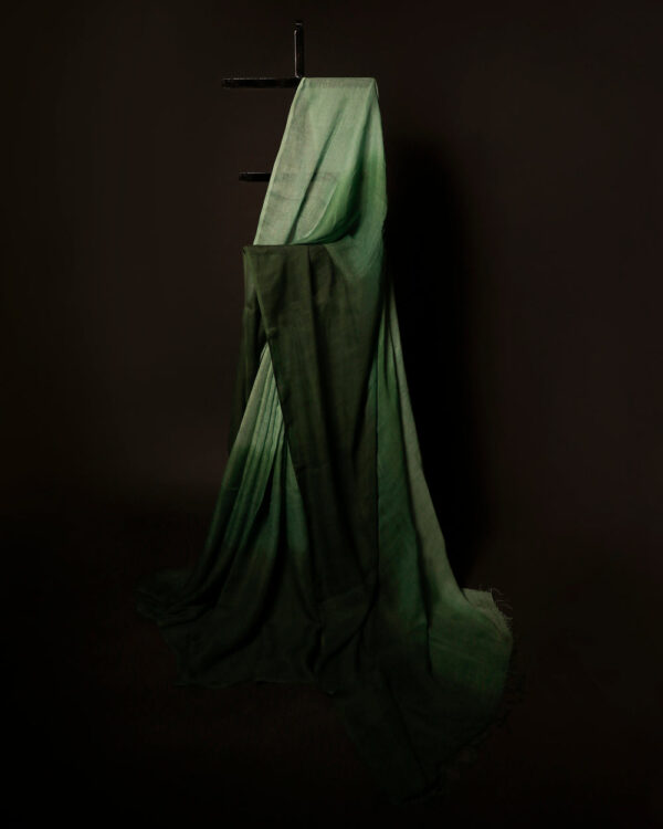 Emerald Enchantment Light Green and Dark Green Linen Shaded Saree