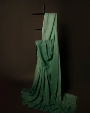 Spring Breeze Light Green Linen Shaded Saree