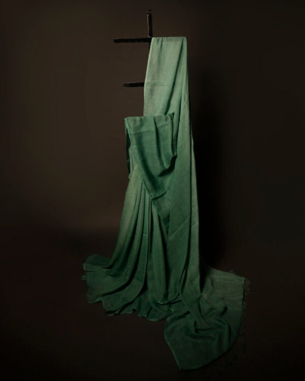 Spring Breeze Light Green Linen Shaded Saree