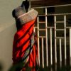 Pure Handloom Tomato Pink Linen  Saree
