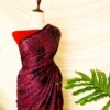 Pure Handloom Multi-Coloured Gaji Silk Saree