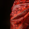rn-image_picker_lib_temp_7bbf3ccd-85f7-4a54-a6a6-8d313d79eb07 Mystic Mocha Maroon and Black Printed Pure Organza Silk Saree