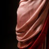 Velvet Rouge Red Pure Dupion Silk Saree