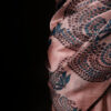 Pastel Petal Light Pink Pure Organza Silk Saree