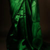 Pure Hand block Printed Parrot Green Silk saree